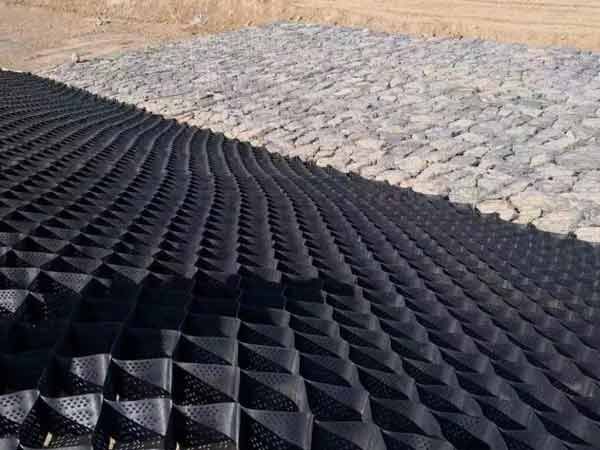 c(din)鿴Ԕ(x)Ϣ(bio)} xΔ(sh)1769