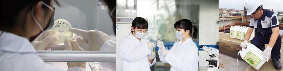 總氮菌-3天見效，15天達標(biāo)